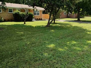 Garry B.'s turf care service result
