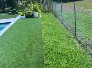 Dana W.'s Cleanups service result