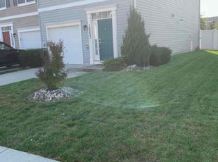 Audrey F.'s turf maintenance service result