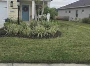 Dan T.'s turf maintenance service result