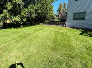 William O.'s lawn maintenance service result