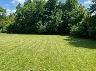 Fred H.'s grass cutting service result