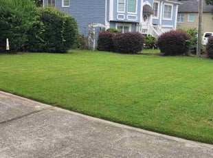 Angela O.'s lawn maintenance service result