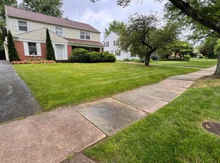 Claudia B.'s lawn care services service result