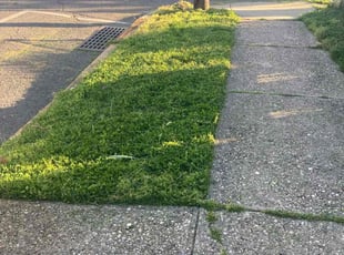 Marcin P.'s grass maintenance service result