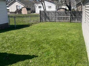 Carolyn D.'s grass maintenance service result