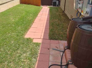 Kimberley M.'s turf care service result