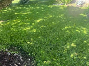 James M.'s lawn service service result