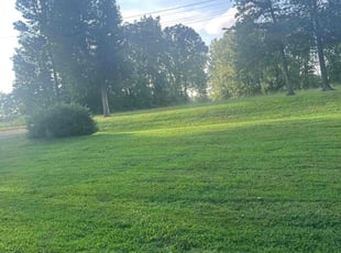 Theresa C.'s grass cutting service result