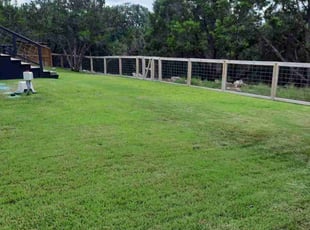 Troy B.'s turf maintenance service result