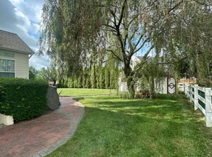 Tiffany G.'s turf maintenance service result