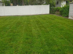 Justin K.'s lawn service service result