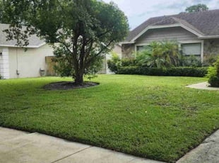 Melissa K.'s grass maintenance service result