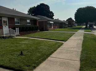 Skylar D.'s lawn care services service result
