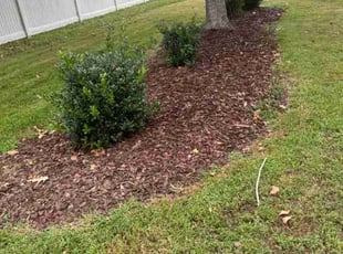 Jeffrey C.'s Flower Bed Weeding service result