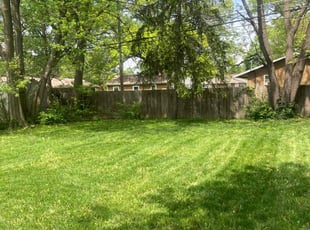 Rex S.'s turf maintenance service result