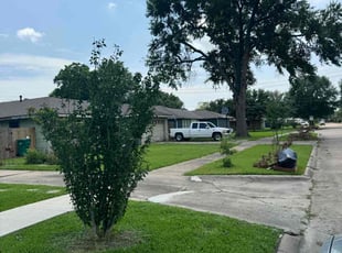 Scott D.'s grass maintenance service result