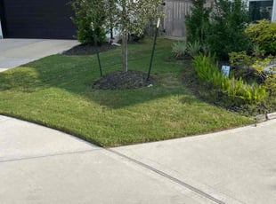 Tracey B.'s turf maintenance service result