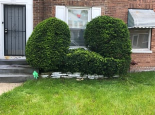 Margaret F.'s Bush Trimming service result
