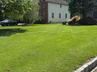 Arthur D.'s turf care service result