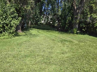 Lisa W.'s grass maintenance service result