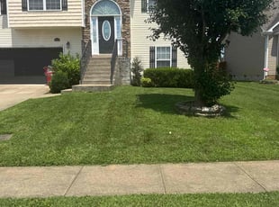Alexander K.'s grass maintenance service result
