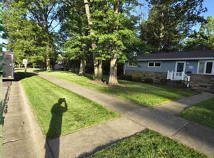 Joey B.'s grass maintenance service result