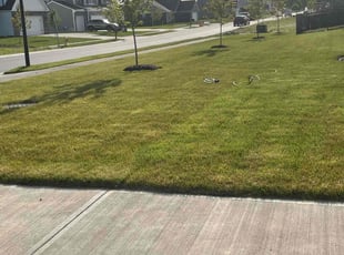 Kristen R.'s lawn care services service result