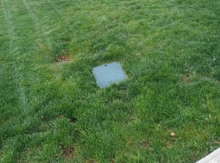 Nelia M.'s lawn care services service result