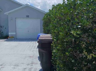 Lizette W.'s Bush Trimming service result