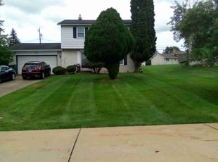Cindy E.'s grass cutting service result