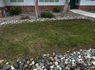 Jackie W.'s turf maintenance service result