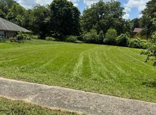 Dr H.'s lawn service service result