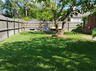 Omega T.'s lawn care service result