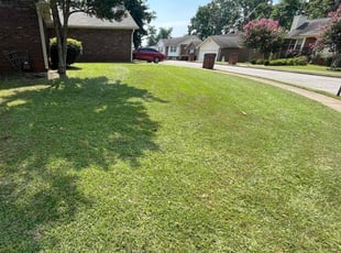 Larry K.'s lawn service service result