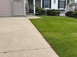 Melissa S.'s turf care service result