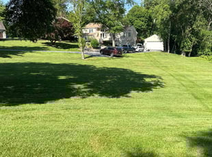 Todd G.'s lawn maintenance service result