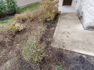Steve W.'s Bush Trimming service result