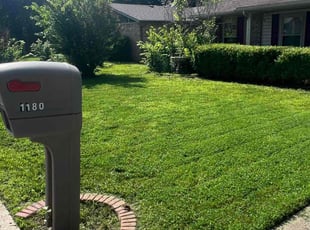 Remo R.'s grass maintenance service result