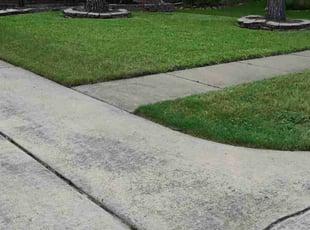 Tracy Z.'s lawn service service result