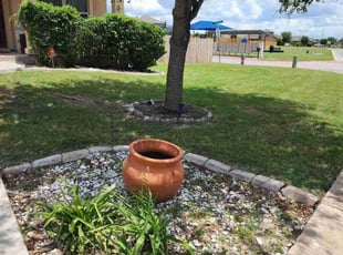 Frank T.'s lawn maintenance service result