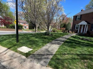 Maria L.'s lawn care services service result