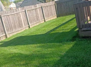 Craig S.'s lawn care services service result
