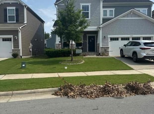 Anel F.'s lawn care services service result