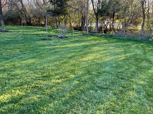 Brian M.'s grass cutting service result