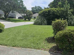 Kathi C.'s grass maintenance service result