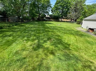 Amber H.'s lawn maintenance service result