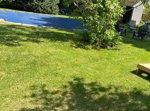Michael S.'s turf care service result