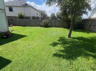 Mokeywa J.'s grass maintenance service result