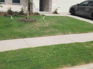 Mary K.'s grass cutting service result